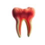 Signs of a Cavity: What You Should Know